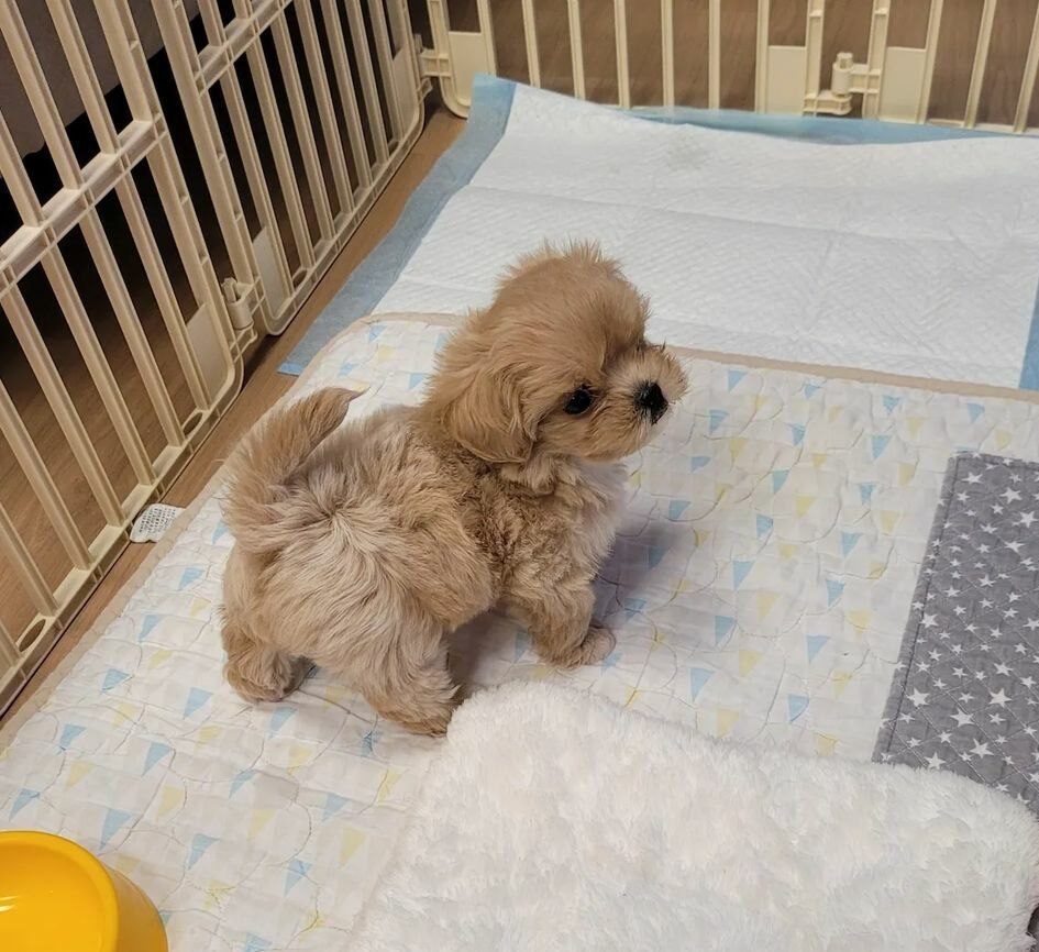 f2f601d5-d765-4d83-8786-dece8bc315bc